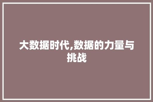 大数据时代,数据的力量与挑战