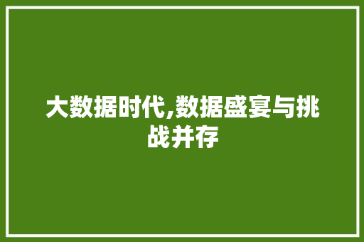 大数据时代,数据盛宴与挑战并存