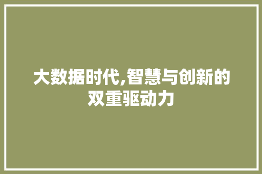 大数据时代,智慧与创新的双重驱动力