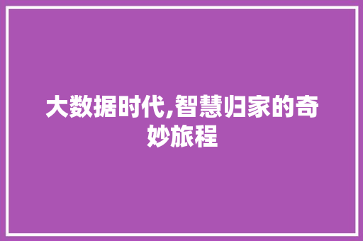 大数据时代,智慧归家的奇妙旅程