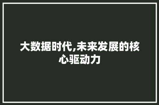 大数据时代,未来发展的核心驱动力