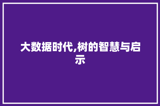 大数据时代,树的智慧与启示