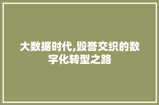 大数据时代,毁誉交织的数字化转型之路