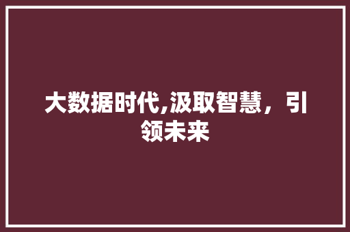 大数据时代,汲取智慧，引领未来