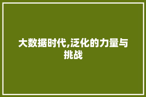 大数据时代,泛化的力量与挑战