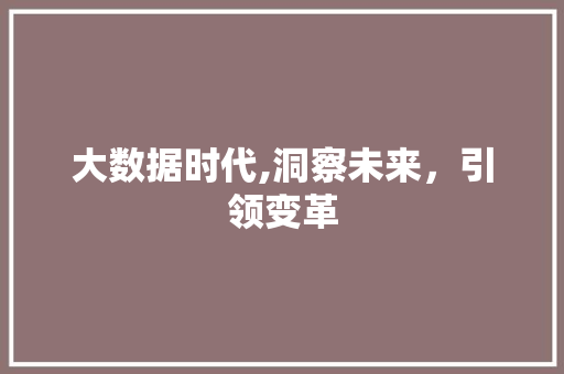 大数据时代,洞察未来，引领变革