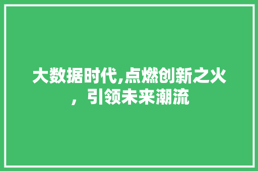 大数据时代,点燃创新之火，引领未来潮流