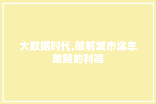 大数据时代,破解城市堵车难题的利器