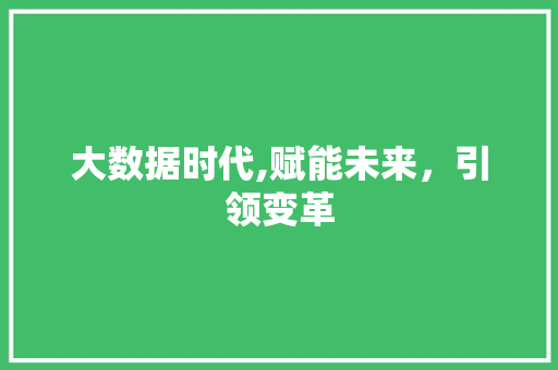 大数据时代,赋能未来，引领变革