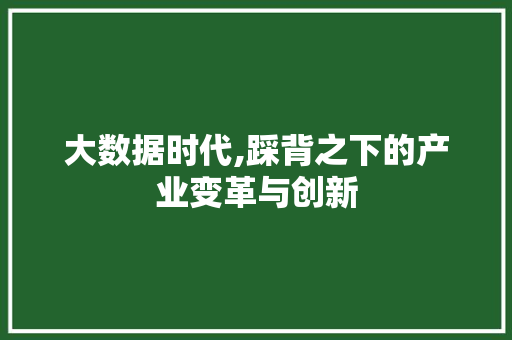 大数据时代,踩背之下的产业变革与创新