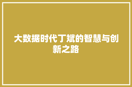 大数据时代丁斌的智慧与创新之路