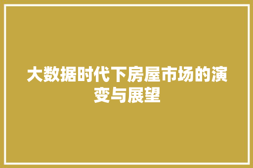 大数据时代下房屋市场的演变与展望