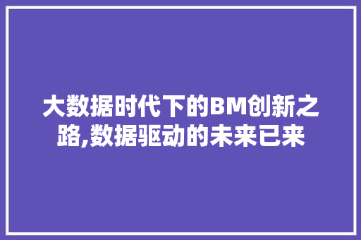 大数据时代下的BM创新之路,数据驱动的未来已来