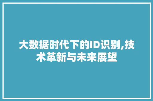 大数据时代下的ID识别,技术革新与未来展望