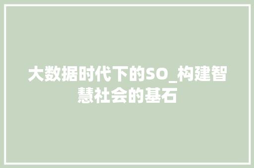 大数据时代下的SO_构建智慧社会的基石