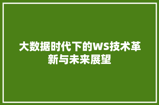 大数据时代下的WS技术革新与未来展望