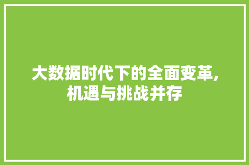 大数据时代下的全面变革,机遇与挑战并存