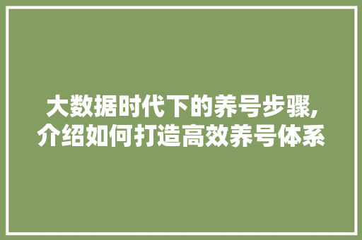 大数据时代下的养号步骤,介绍如何打造高效养号体系