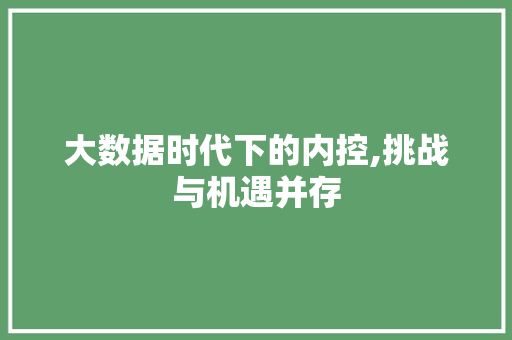 大数据时代下的内控,挑战与机遇并存