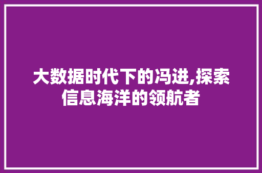 大数据时代下的冯进,探索信息海洋的领航者