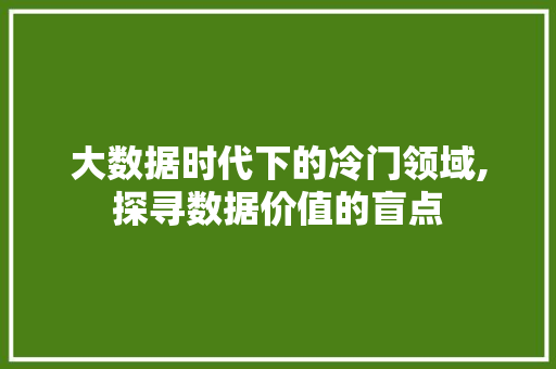 大数据时代下的冷门领域,探寻数据价值的盲点