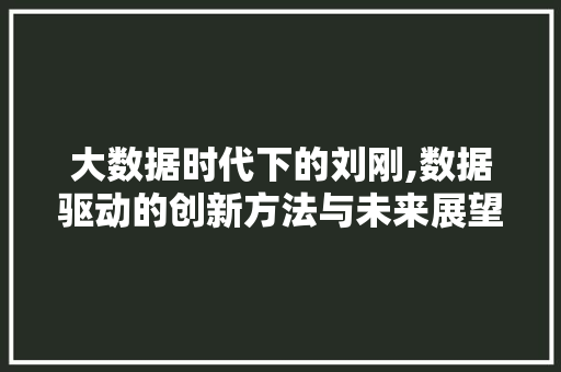 大数据时代下的刘刚,数据驱动的创新方法与未来展望