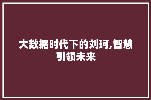 大数据时代下的刘珂,智慧引领未来