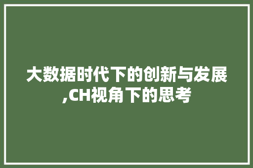 大数据时代下的创新与发展,CH视角下的思考