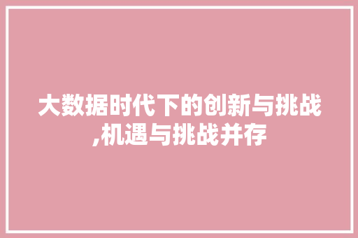 大数据时代下的创新与挑战,机遇与挑战并存