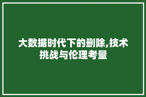 大数据时代下的删除,技术挑战与伦理考量