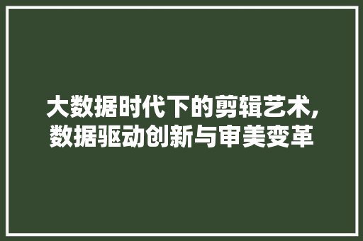 大数据时代下的剪辑艺术,数据驱动创新与审美变革