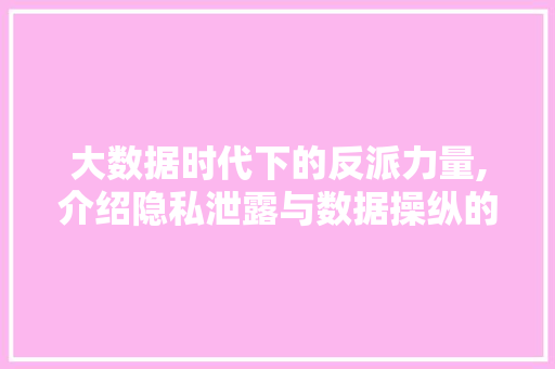 大数据时代下的反派力量,介绍隐私泄露与数据操纵的阴影