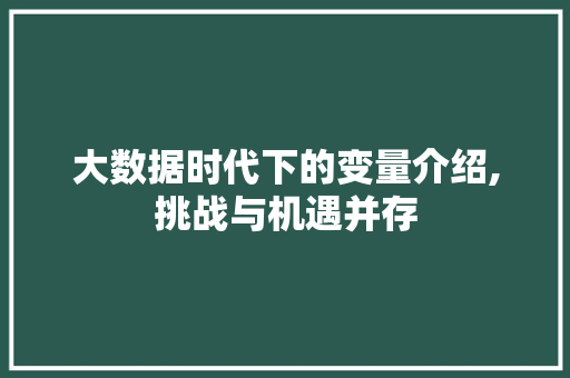 大数据时代下的变量介绍,挑战与机遇并存