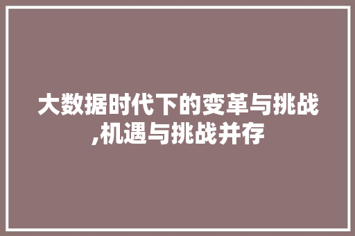 大数据时代下的变革与挑战,机遇与挑战并存