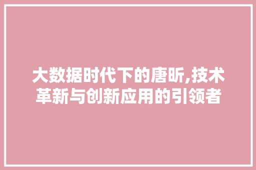 大数据时代下的唐昕,技术革新与创新应用的引领者