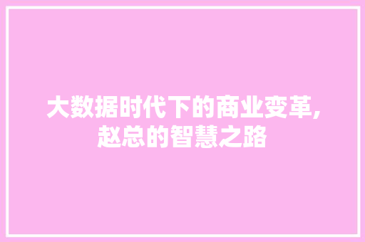 大数据时代下的商业变革,赵总的智慧之路