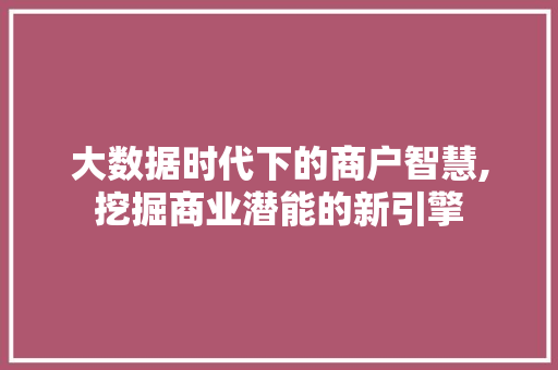 大数据时代下的商户智慧,挖掘商业潜能的新引擎