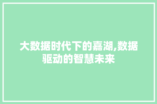 大数据时代下的嘉湖,数据驱动的智慧未来