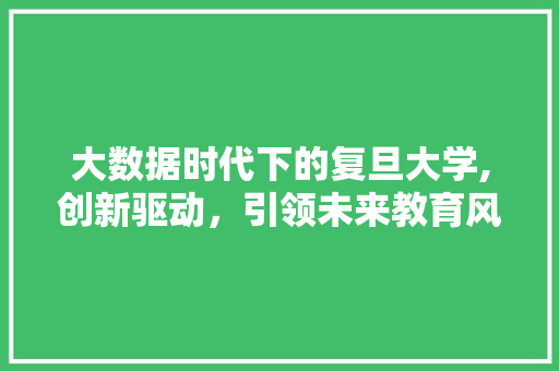 大数据时代下的复旦大学,创新驱动，引领未来教育风向标