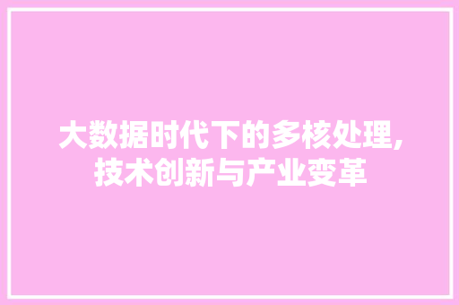 大数据时代下的多核处理,技术创新与产业变革