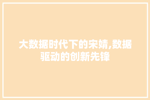 大数据时代下的宋婧,数据驱动的创新先锋