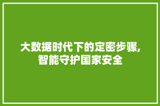 大数据时代下的定密步骤,智能守护国家安全