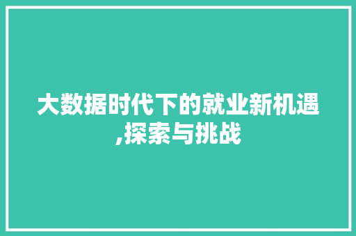 大数据时代下的就业新机遇,探索与挑战