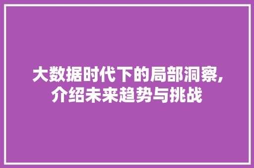 大数据时代下的局部洞察,介绍未来趋势与挑战