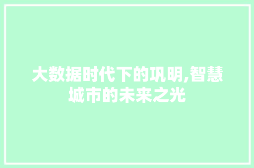 大数据时代下的巩明,智慧城市的未来之光