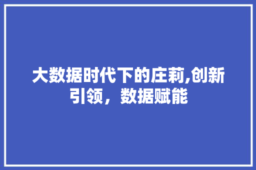 大数据时代下的庄莉,创新引领，数据赋能