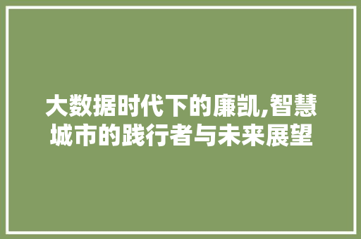 大数据时代下的廉凯,智慧城市的践行者与未来展望