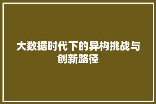 大数据时代下的异构挑战与创新路径