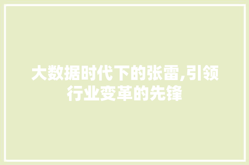 大数据时代下的张雷,引领行业变革的先锋