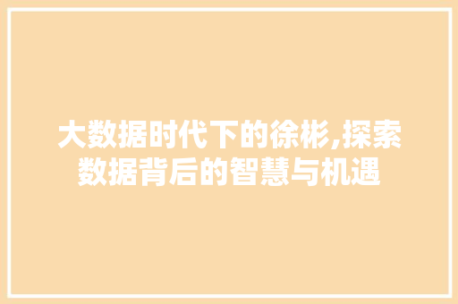 大数据时代下的徐彬,探索数据背后的智慧与机遇